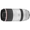 CANON_RF_100_500MM_F_4_5_7_1_L_IS_USM