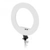 CARUBA_ROUND_VLOGGER_18_INCH_RINGLICHT_ECONOMY_WIT_1